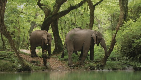 Découvrez léon : le paradis des passionnés de nature
